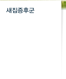 새집증후군